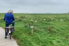 Een-fietser-bij-Space-Rock